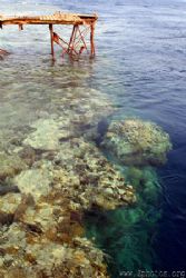 This is the pier jutting out over Daedalus Reef. The reef... by Zaid Fadul 